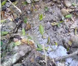 Sítio à venda entre Camanducaia e Monte Verde  cód.1241