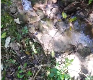 Sítio à venda entre Camanducaia e Monte Verde  cód.1241