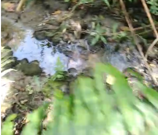 Sítio à venda entre Camanducaia e Monte Verde  cód.1241