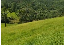 Sítio à venda entre Camanducaia e Monte Verde  cód.1241