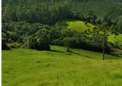 Sítio à venda entre Camanducaia e Monte Verde  cód.1241