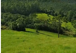 Sítio à venda entre Camanducaia e Monte Verde  cód.1241