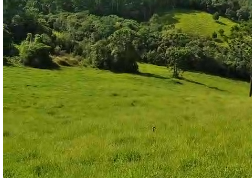 Sítio à venda entre Camanducaia e Monte Verde  cód.1241