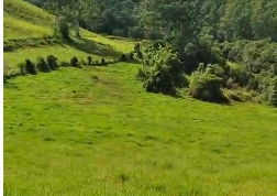Sítio à venda entre Camanducaia e Monte Verde  cód.1241