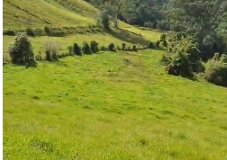 Sítio à venda entre Camanducaia e Monte Verde  cód.1241