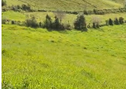 Sítio à venda entre Camanducaia e Monte Verde  cód.1241