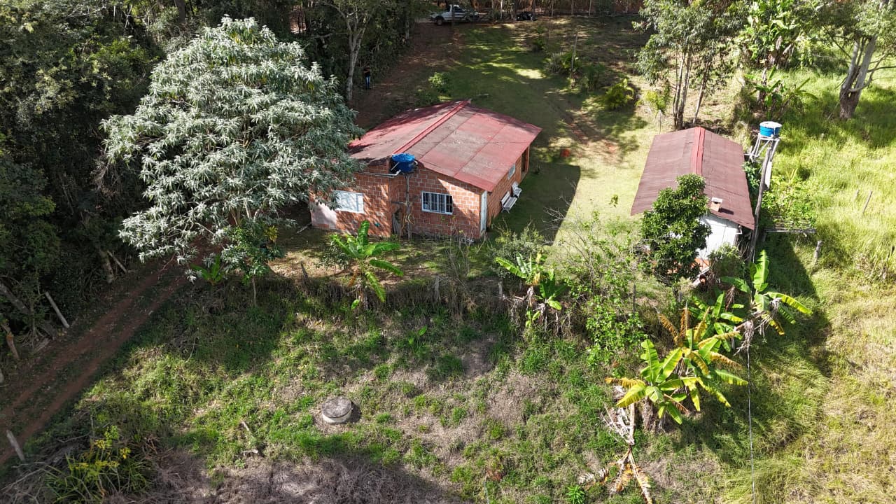 Sua Chácara Completa em Toledo-MG – 1.000m² + Vista Incrível + Condições Facilitadas cod- 1247