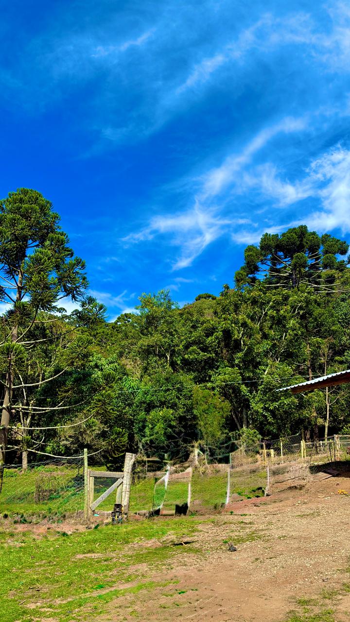 Chácara à Venda em Camanducaia | Próxima a Monte Verde cod.1251