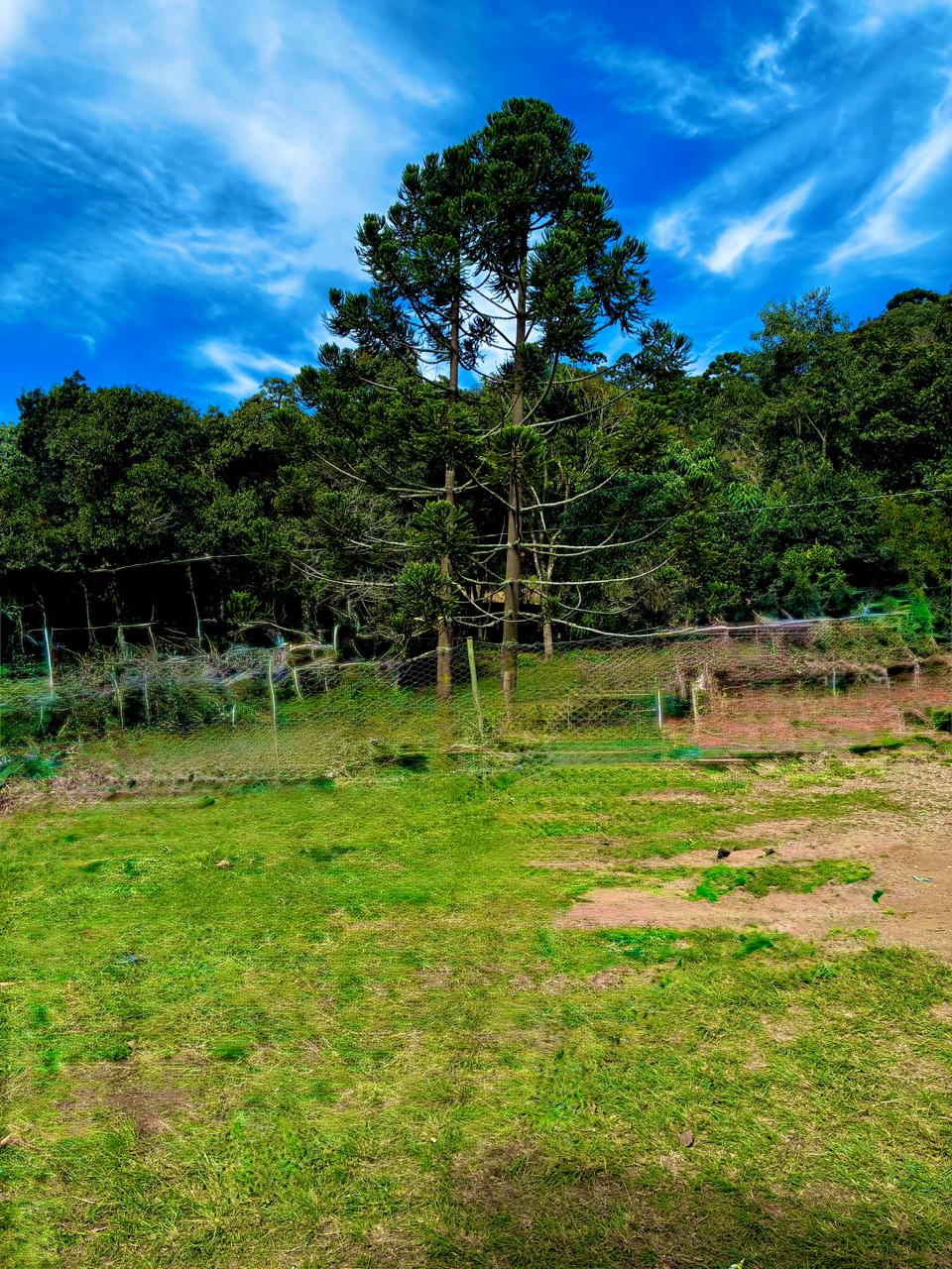 Chácara à Venda em Camanducaia | Próxima a Monte Verde cod.1251