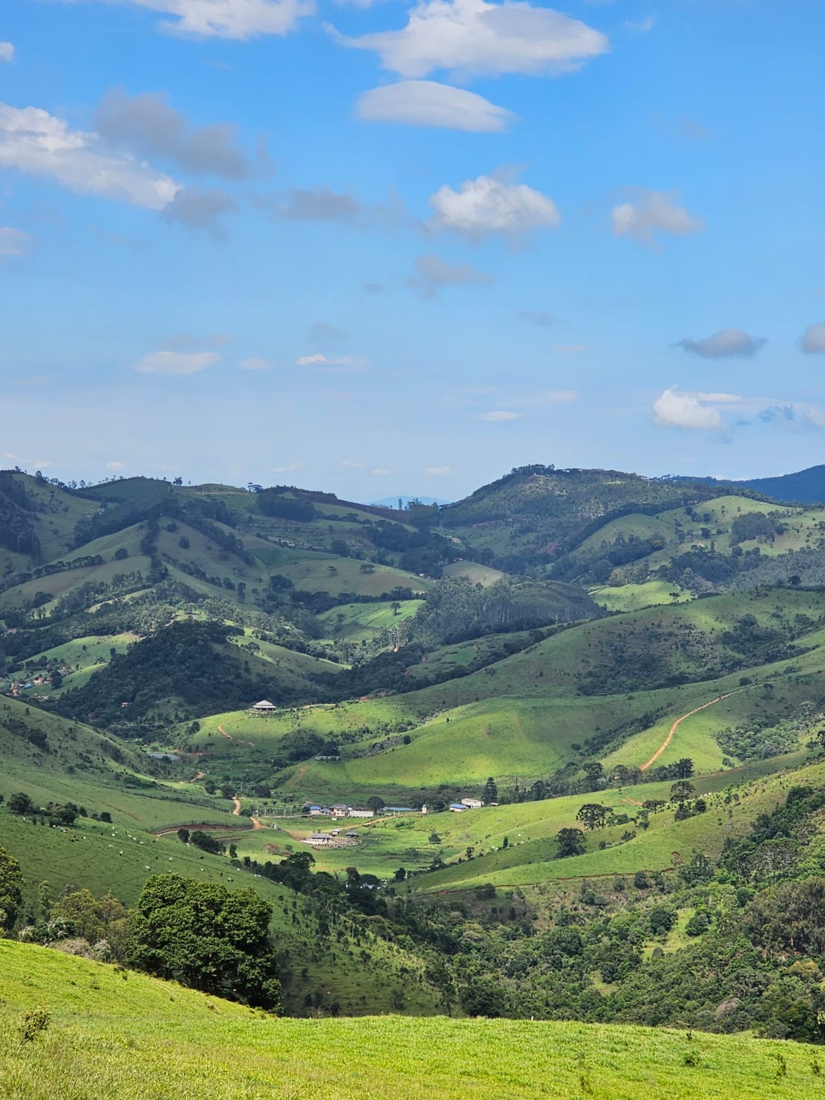 Mini Fazenda de 10 Alqueires à Venda em Camanducaia | Próxima a Monte Verde1254