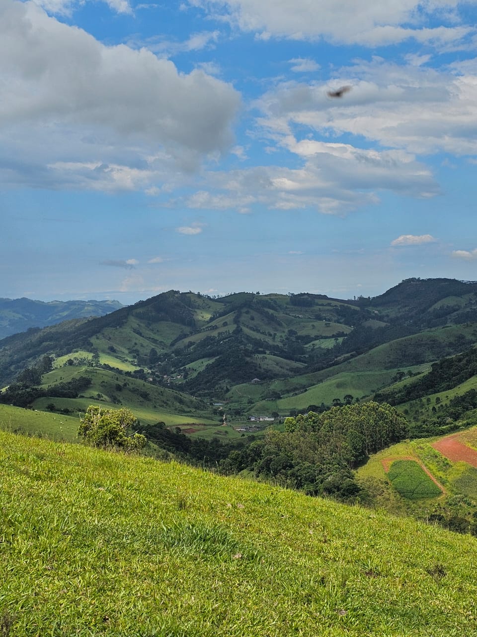 Mini Fazenda de 10 Alqueires à Venda em Camanducaia | Próxima a Monte Verde1254
