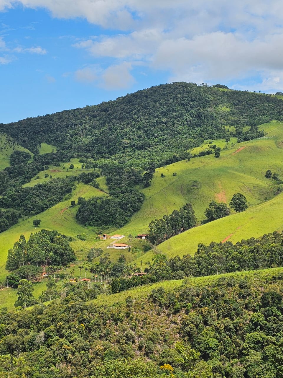 Mini Fazenda de 10 Alqueires à Venda em Camanducaia | Próxima a Monte Verde1254