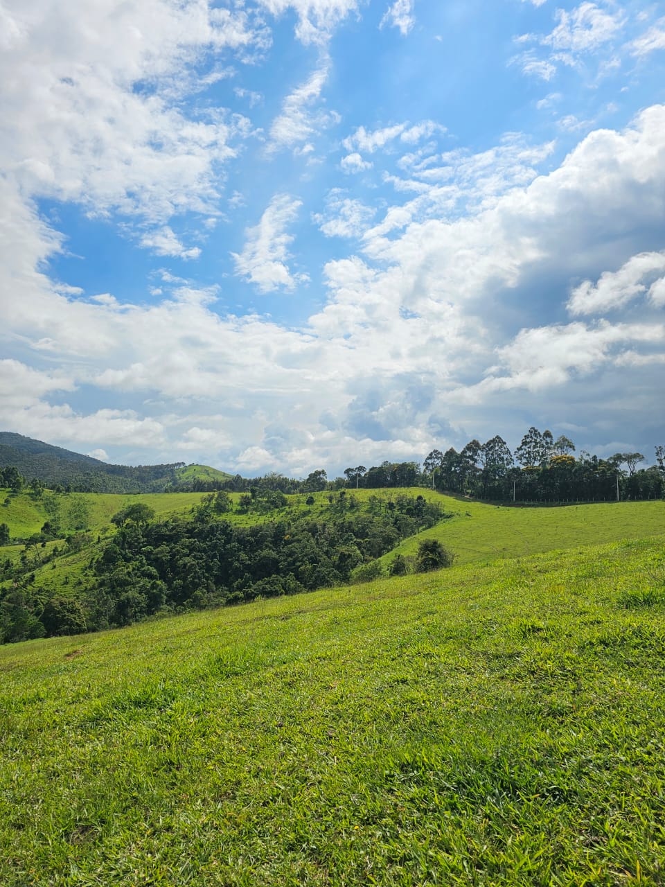 Mini Fazenda de 10 Alqueires à Venda em Camanducaia | Próxima a Monte Verde1254