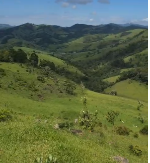 Mini Fazenda de 10 Alqueires à Venda em Camanducaia | Próxima a Monte Verde1254