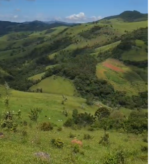 Mini Fazenda de 10 Alqueires à Venda em Camanducaia | Próxima a Monte Verde1254