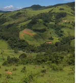 Mini Fazenda de 10 Alqueires à Venda em Camanducaia | Próxima a Monte Verde1254