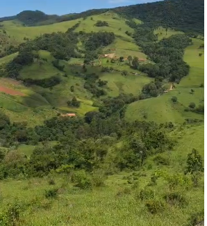 Mini Fazenda de 10 Alqueires à Venda em Camanducaia | Próxima a Monte Verde1254