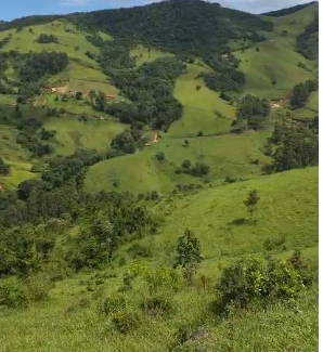 Mini Fazenda de 10 Alqueires à Venda em Camanducaia | Próxima a Monte Verde1254
