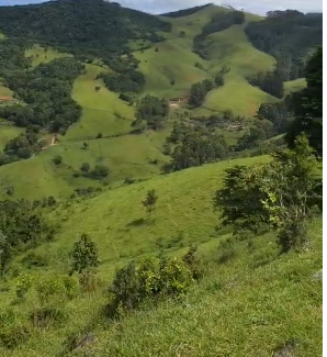 Mini Fazenda de 10 Alqueires à Venda em Camanducaia | Próxima a Monte Verde1254