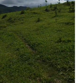 Mini Fazenda de 10 Alqueires à Venda em Camanducaia | Próxima a Monte Verde1254