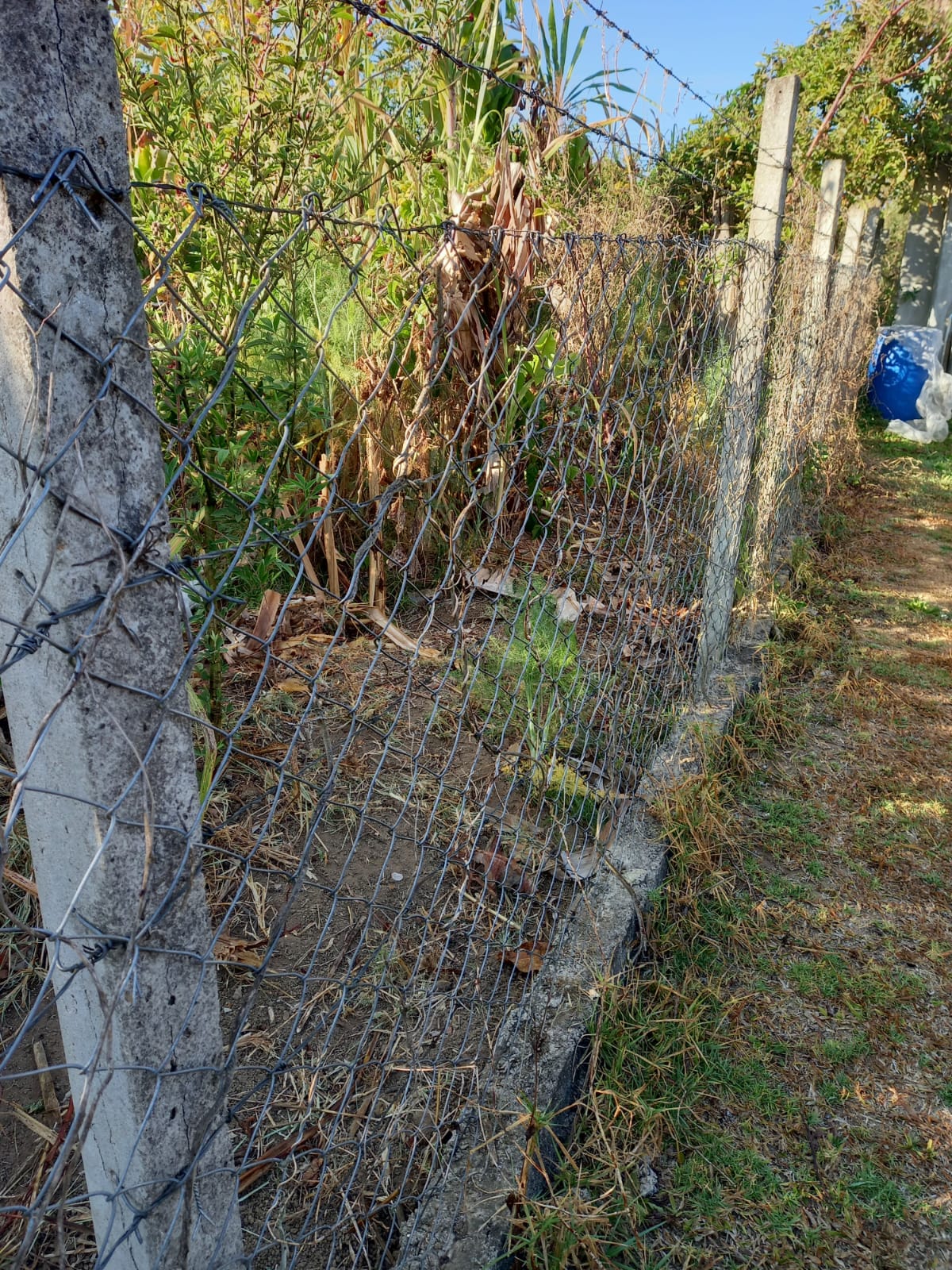 Conheça esta chácara em Munhoz/MG com 1.000 m² Cod. 1256