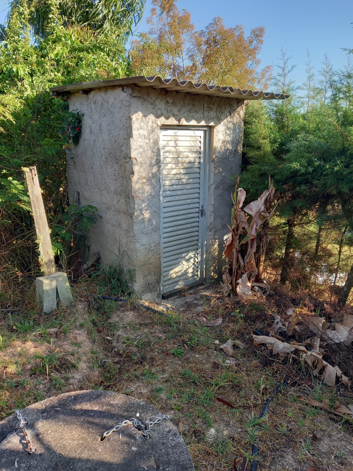 Conheça esta chácara em Munhoz/MG com 1.000 m² Cod. 1256