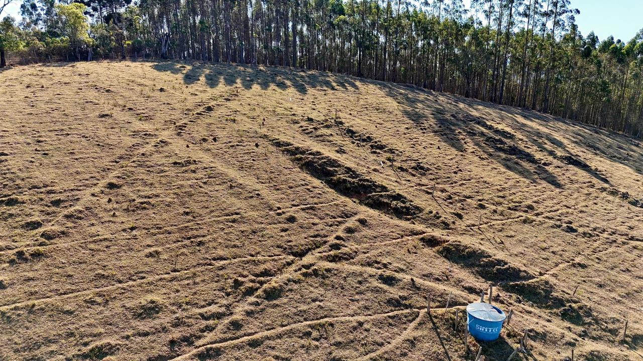 Sítio à Venda em Toledo MG | 33.000 m² com 2 Casas por R$ 670 Mil Cód.1257