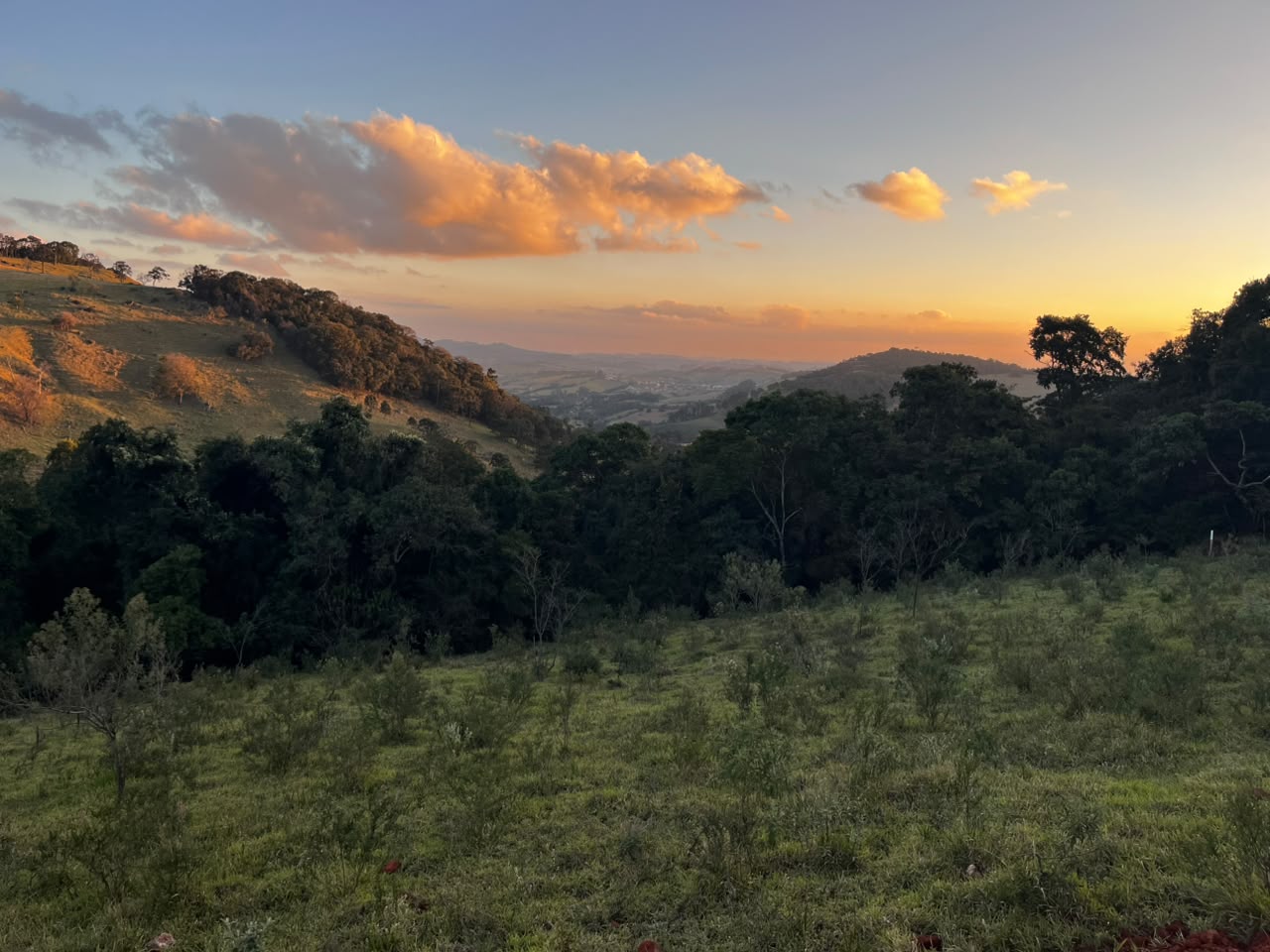 Terreno Rural à Venda em Toledo MG | 13.600 m² com Nascente e Escritura Cod. 1258