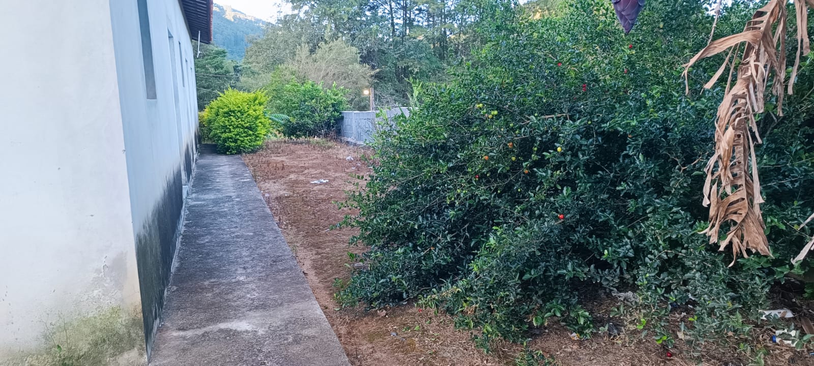 Chácara à Venda com 1.015 m² e Casa de 180 m² | 3 Quartos 1259