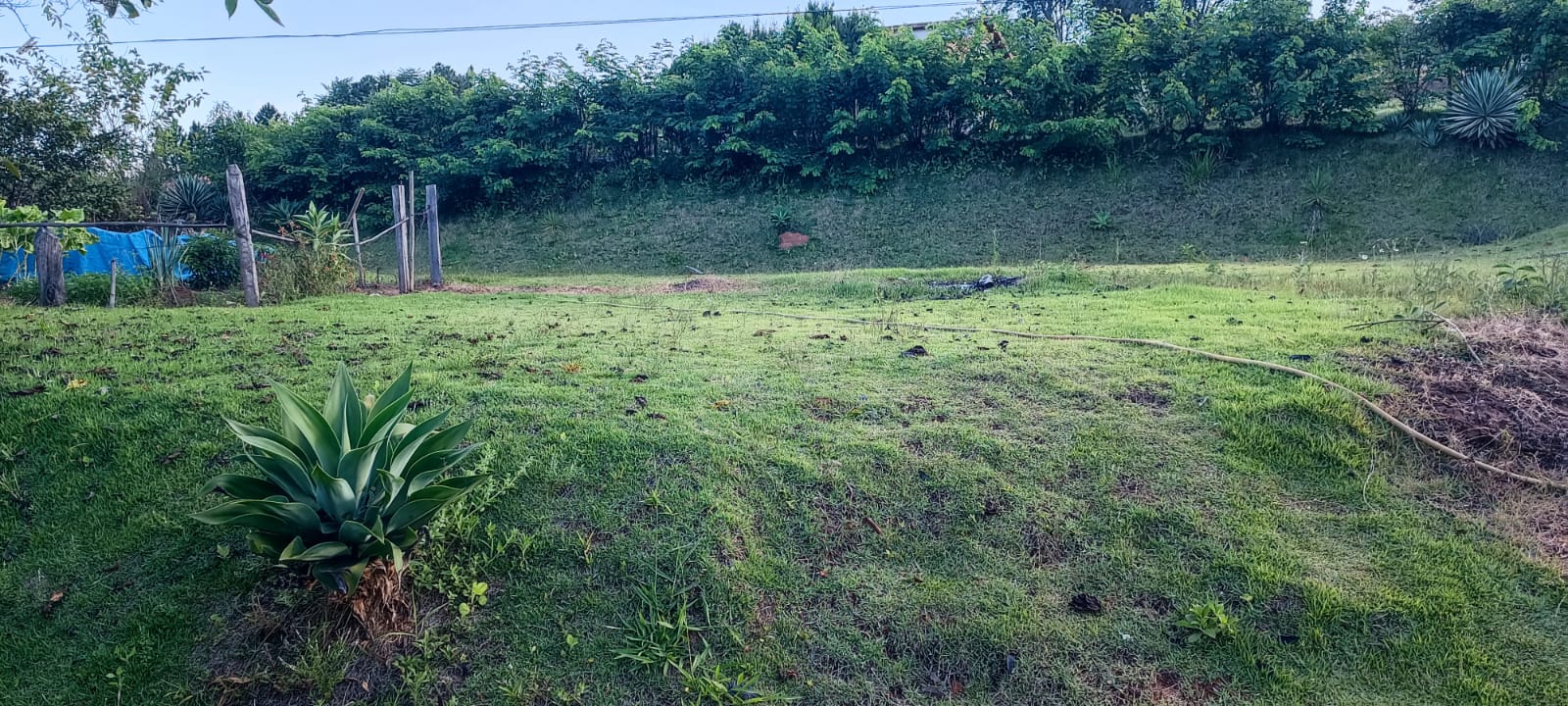 Chácara à Venda com 1.015 m² e Casa de 180 m² | 3 Quartos 1259