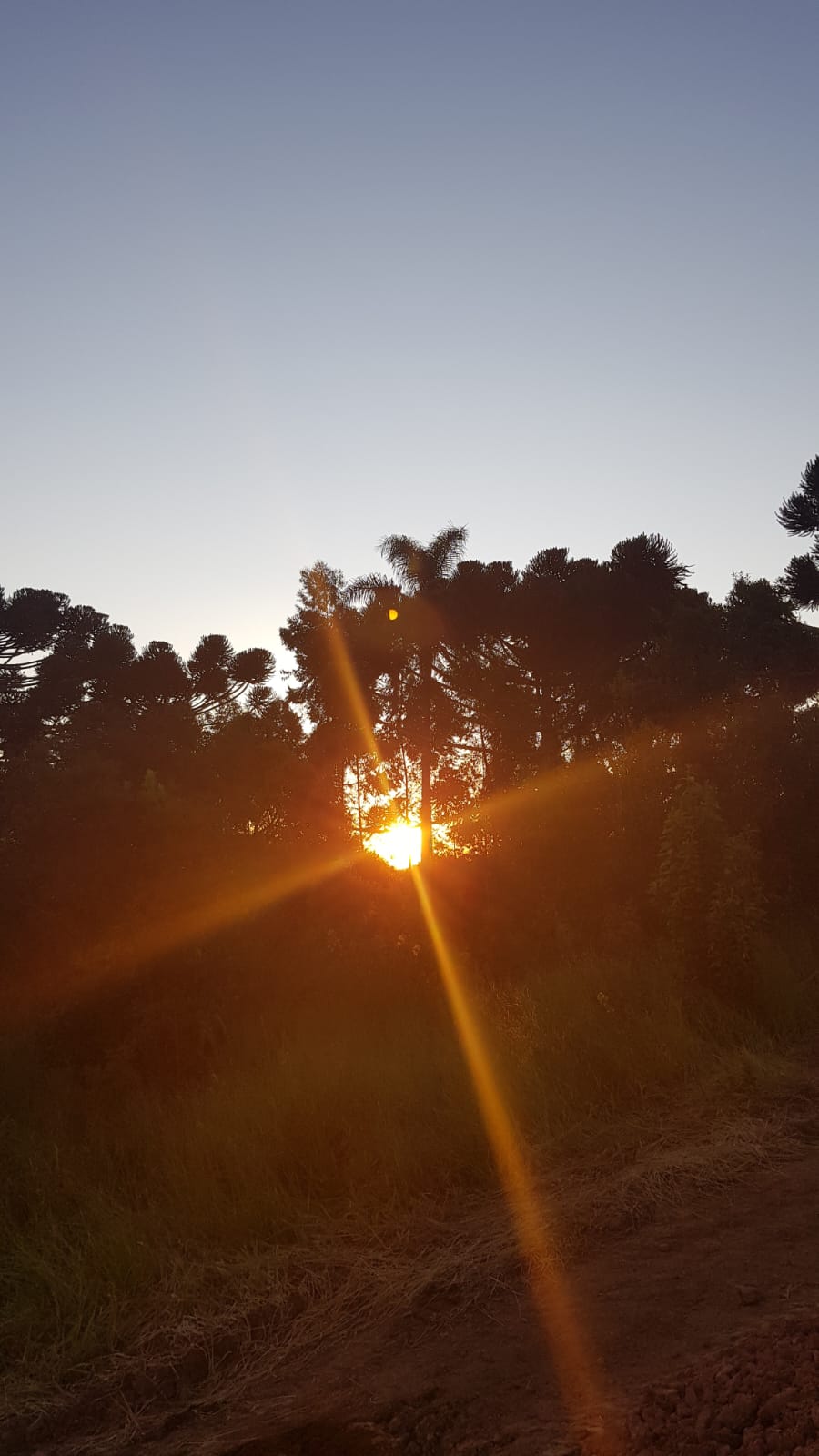 Terreno à Venda nas Furnas em Extrema/MG | 6.443 m² para Chácara ou Investimento cod. 1260