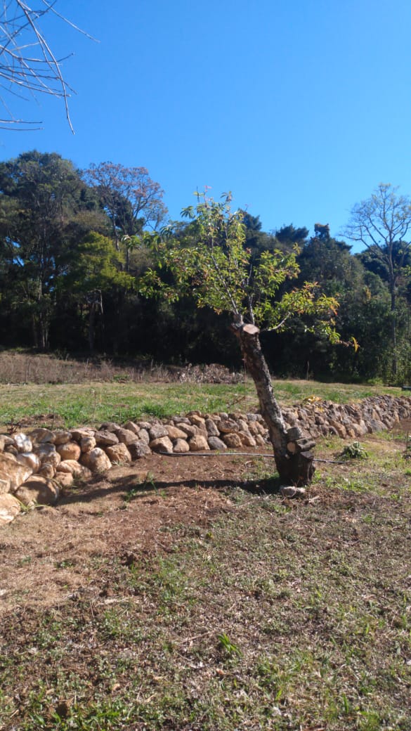 Chácara à Venda em Camanducaia MG | 3 Nascentes e Vista para as Montanhas Cod.1261