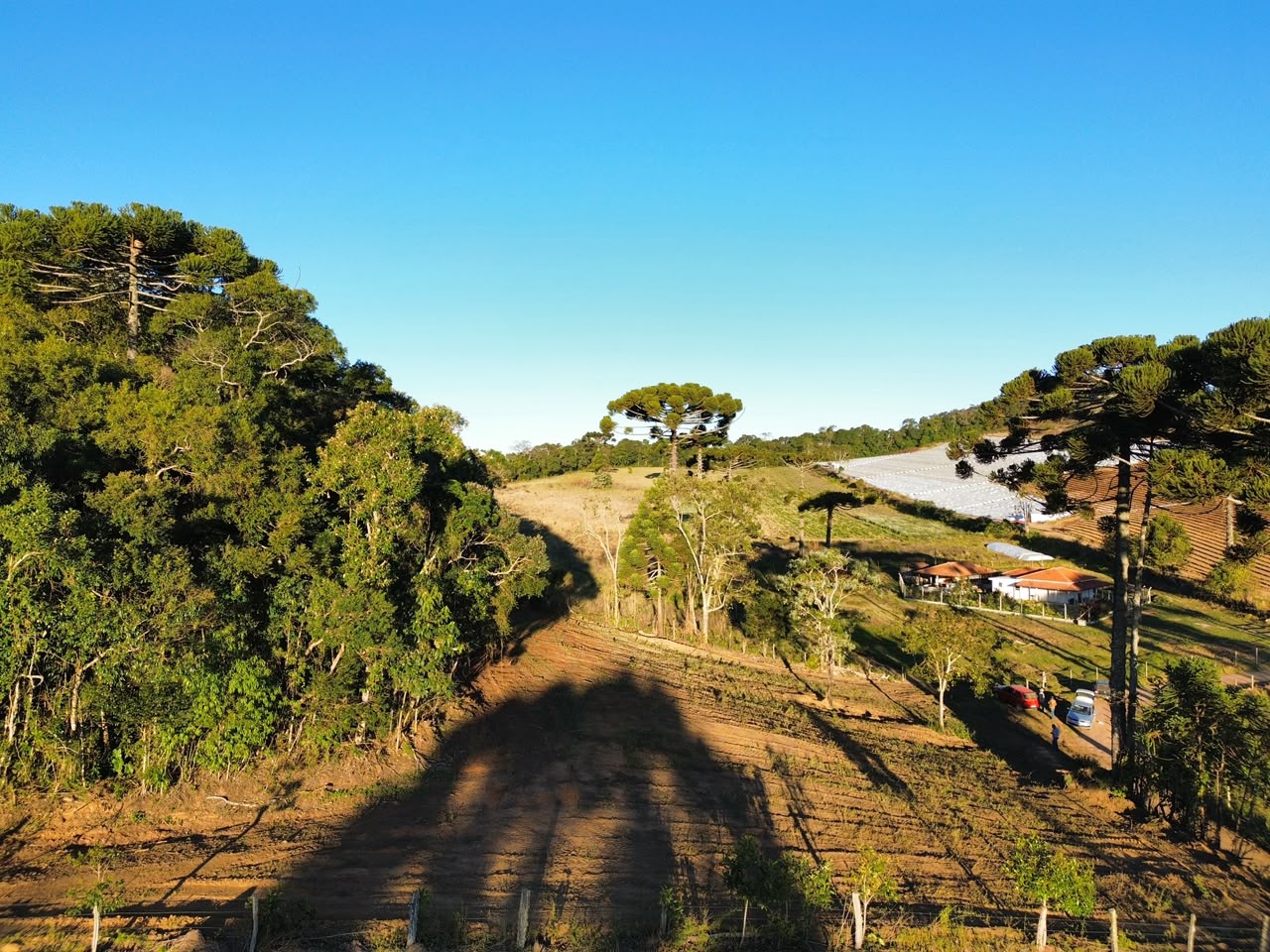 Oportunidade - Terreno em Senador Amaral I 20 mil metros por 120 mil cod. 1263