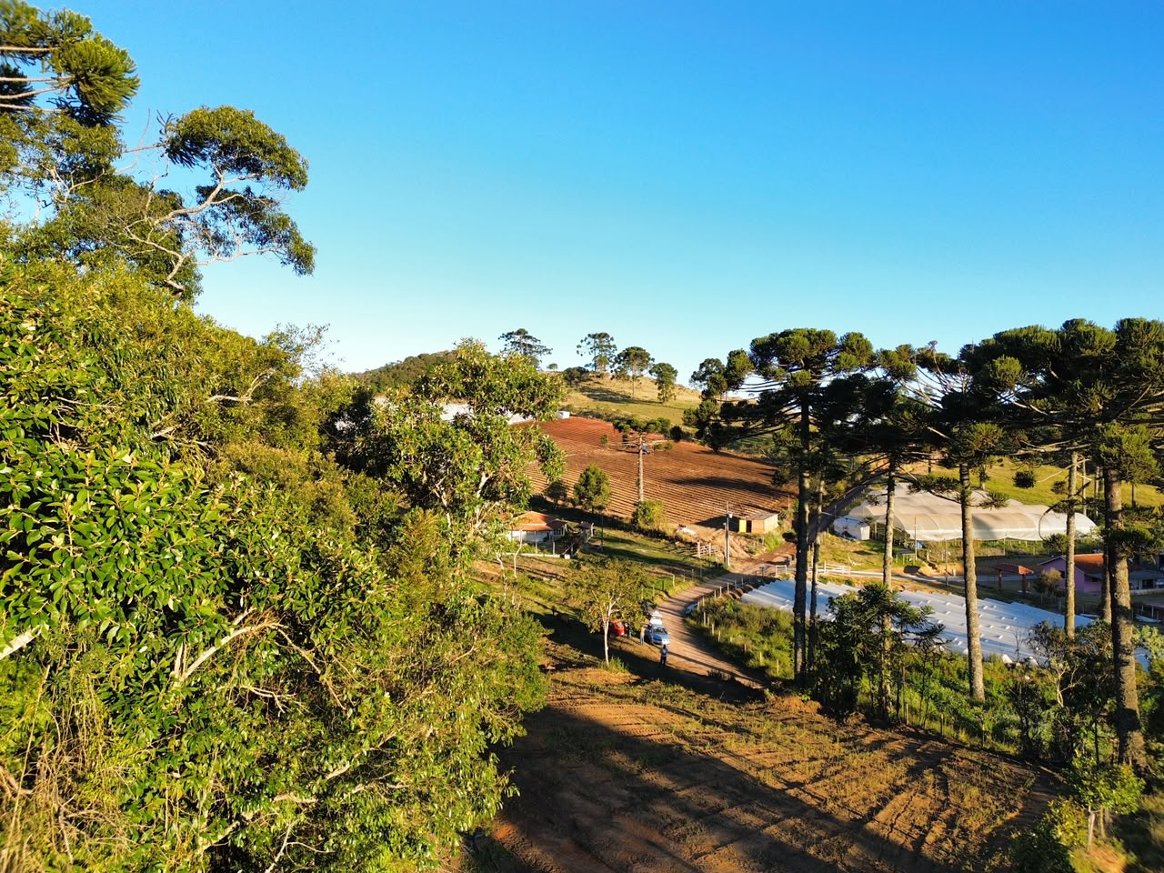 Oportunidade - Terreno em Senador Amaral I 20 mil metros por 120 mil cod. 1263