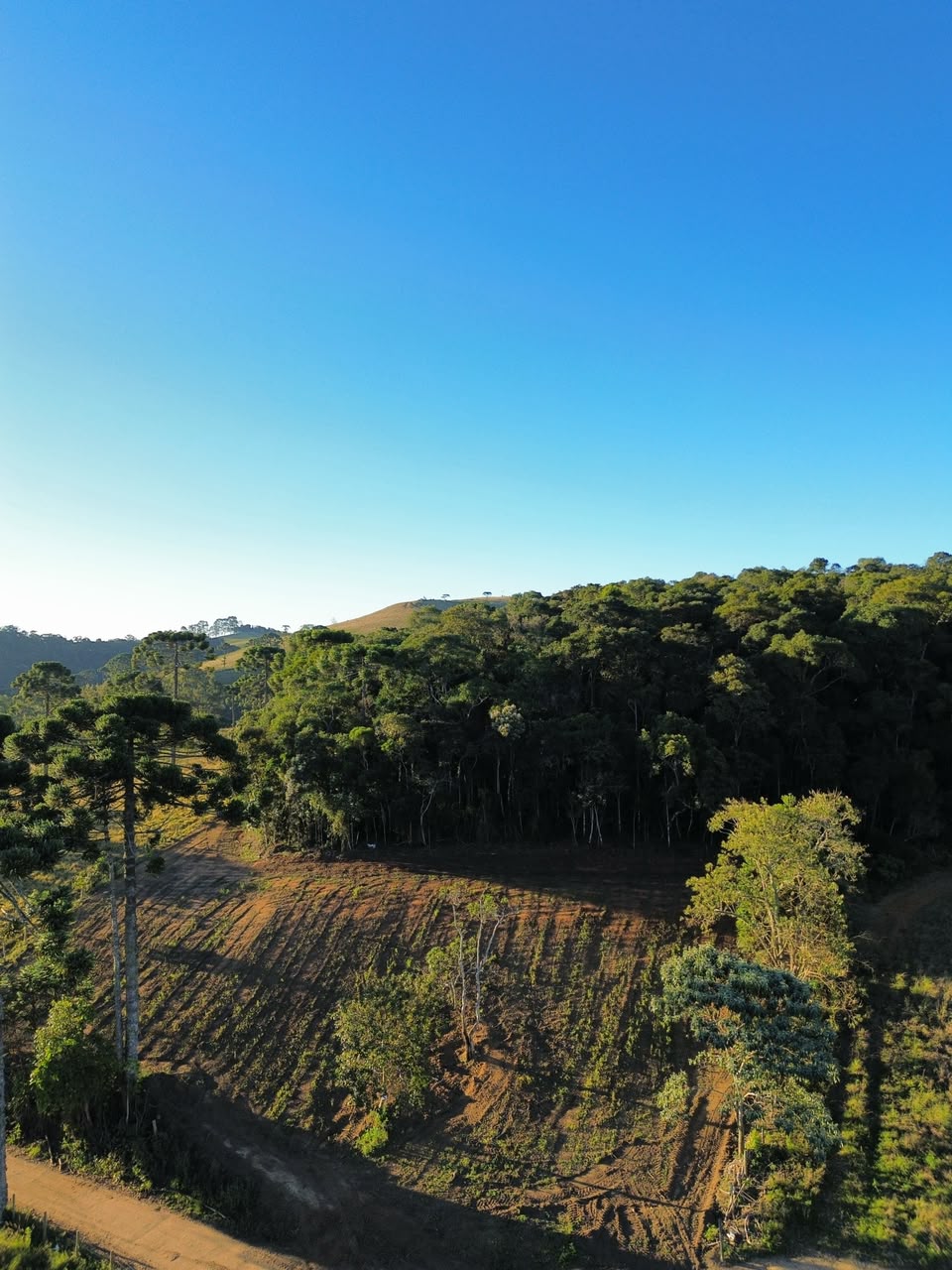 Oportunidade - Terreno em Senador Amaral I 20 mil metros por 120 mil cod. 1263