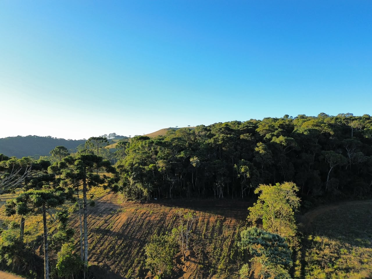 Oportunidade - Terreno em Senador Amaral I 20 mil metros por 120 mil cod. 1263