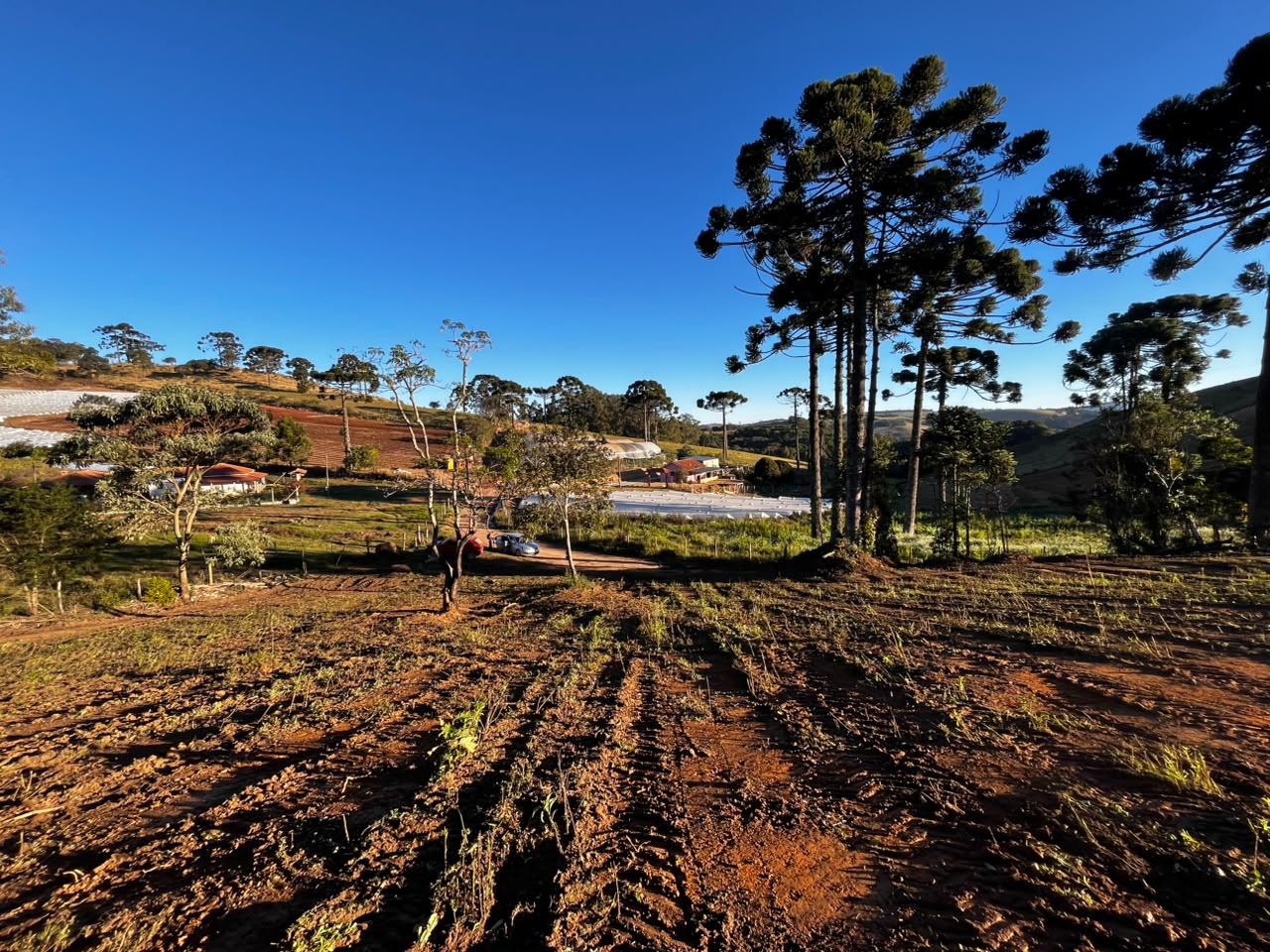 Oportunidade - Terreno em Senador Amaral I 20 mil metros por 120 mil cod. 1263