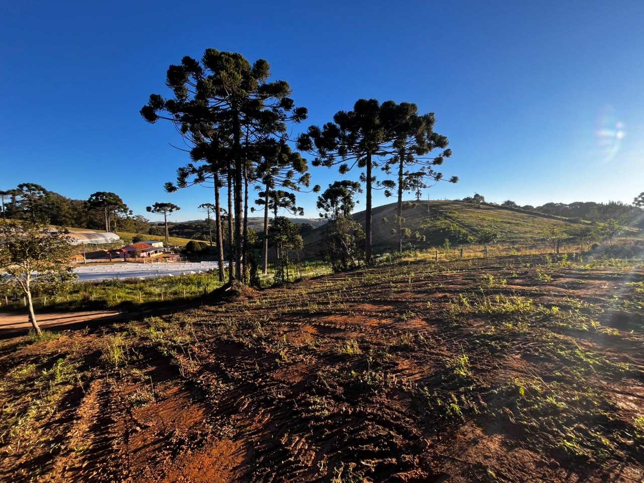Oportunidade - Terreno em Senador Amaral I 20 mil metros por 120 mil cod. 1263