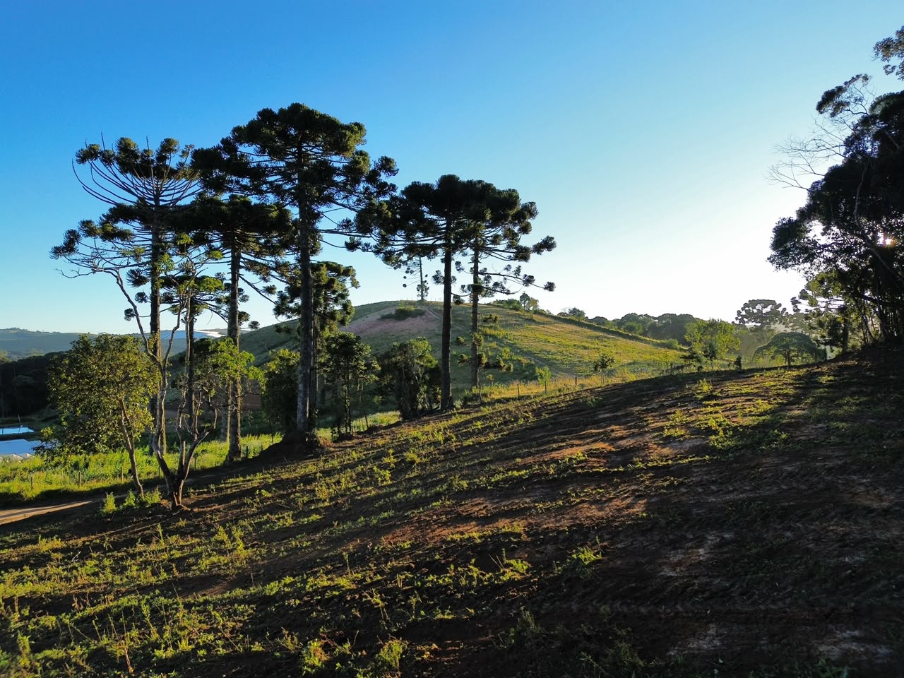 Oportunidade - Terreno em Senador Amaral I 20 mil metros por 120 mil cod. 1263