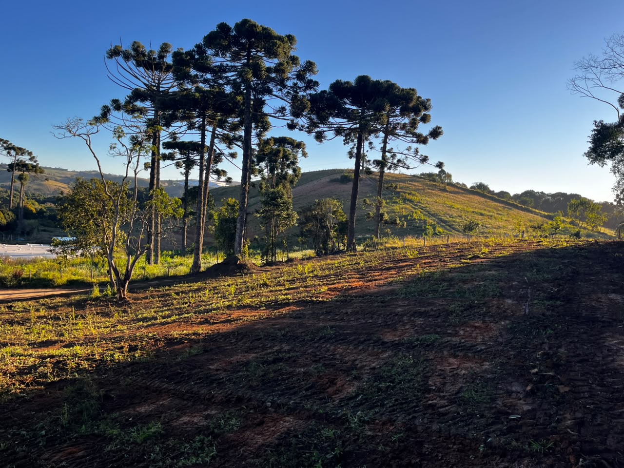 Oportunidade - Terreno em Senador Amaral I 20 mil metros por 120 mil cod. 1263