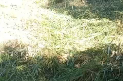 Terreno excelente para formação de chácara em Extrema MG Cod. 1264