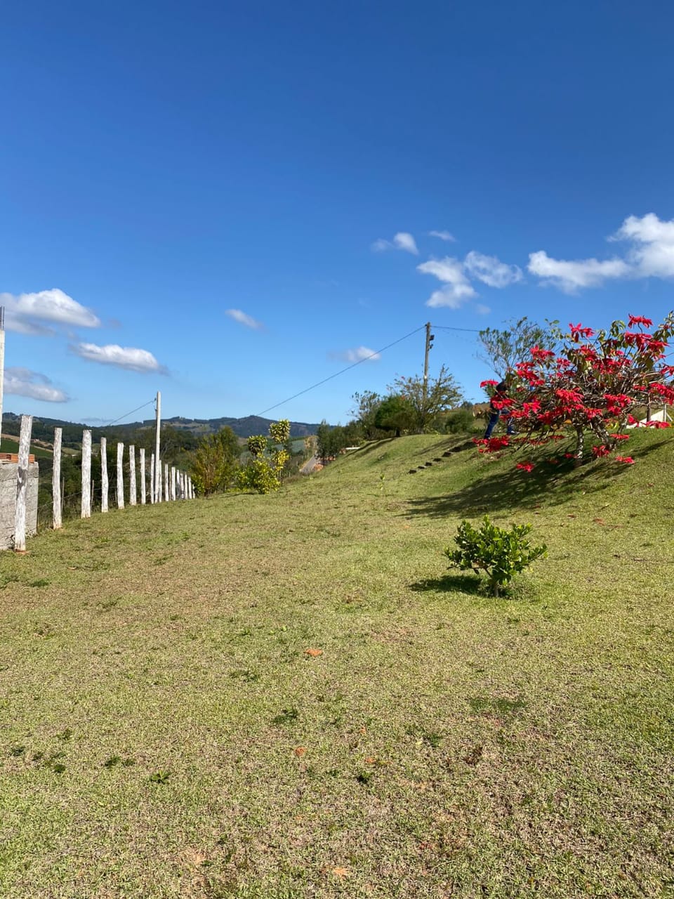 Chácara de Alto Padrão em Toledo/MG – A 1,6 km do Centro, com Piscina Aquecida e Espaço Gourmet - 1269
