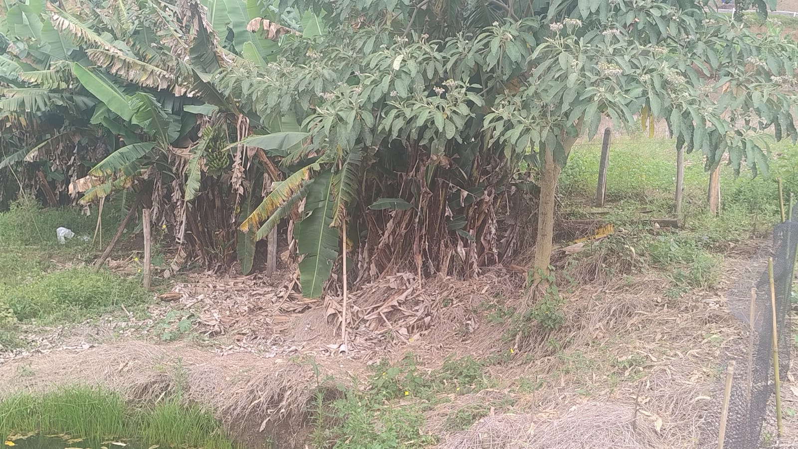 Terreno para formação de chácara em Camanducaia - MG1271