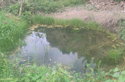 Terreno para formação de chácara em Camanducaia - MG1271