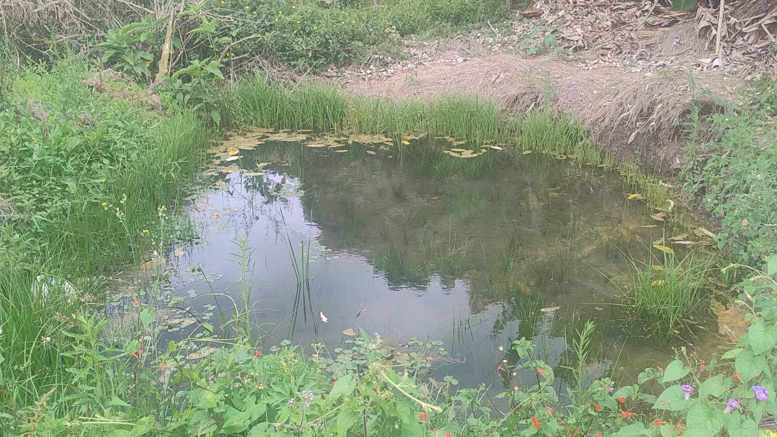 Terreno para formação de chácara em Camanducaia - MG1271