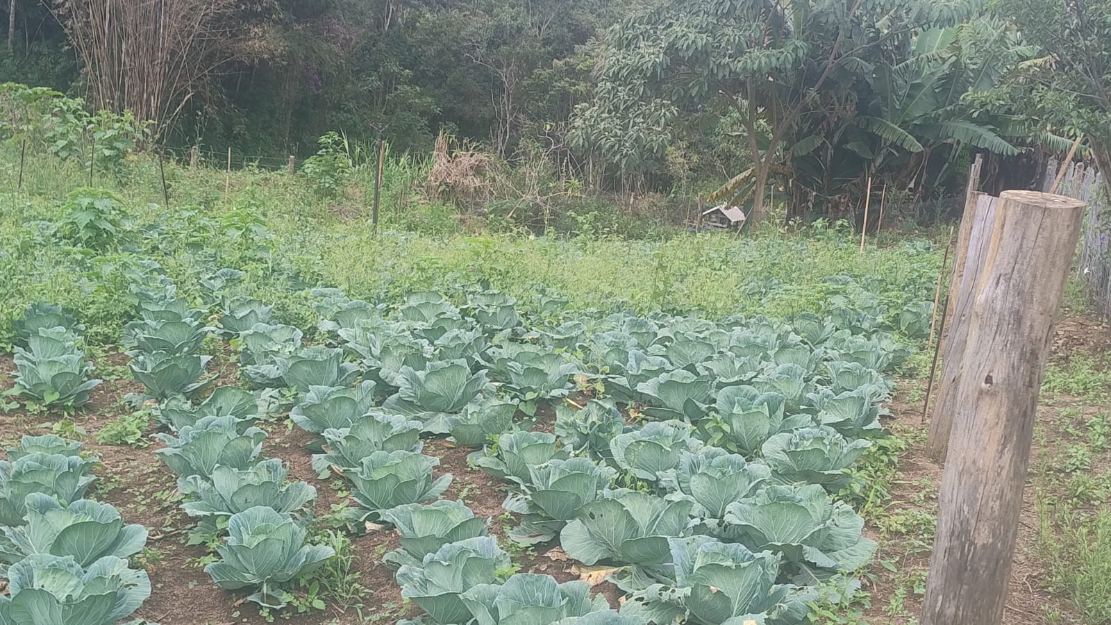 Terreno para formação de chácara em Camanducaia - MG1271