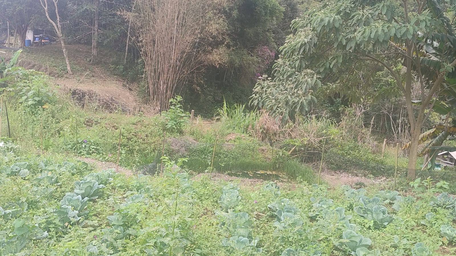Terreno para formação de chácara em Camanducaia - MG1271