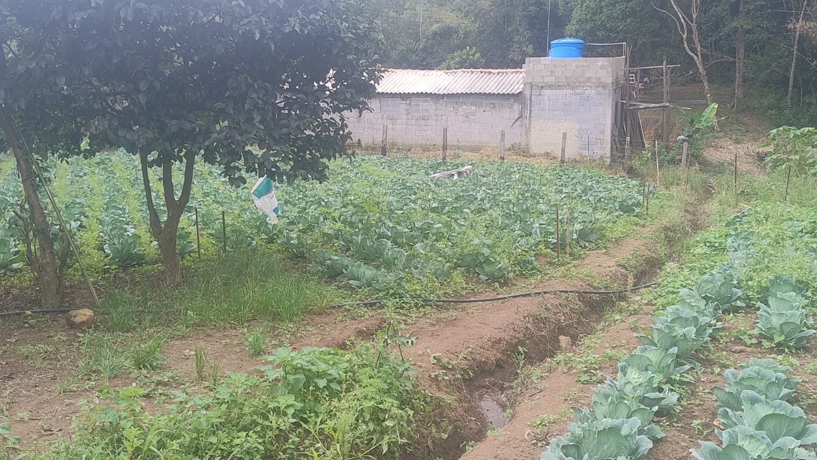 Terreno para formação de chácara em Camanducaia - MG1271