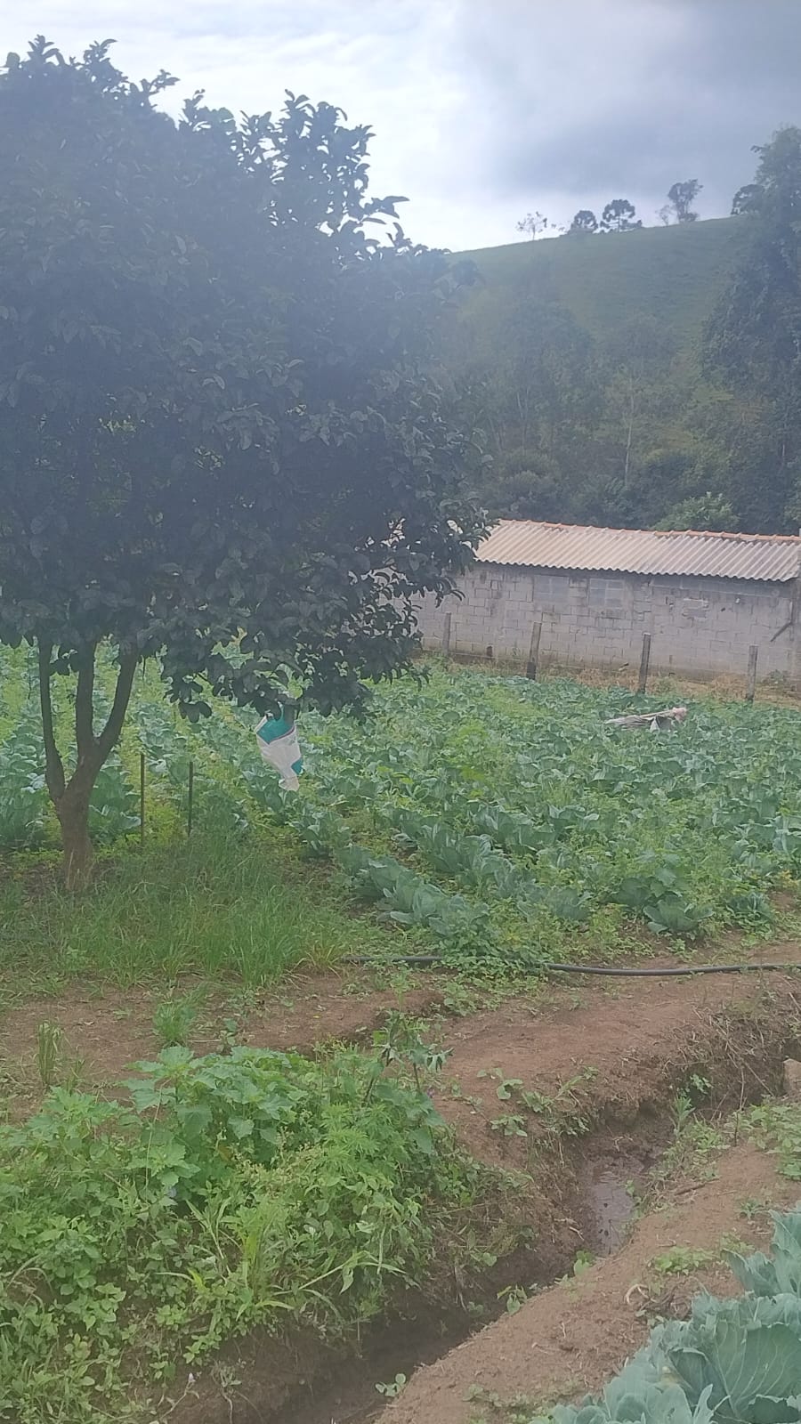 Terreno para formação de chácara em Camanducaia - MG1271