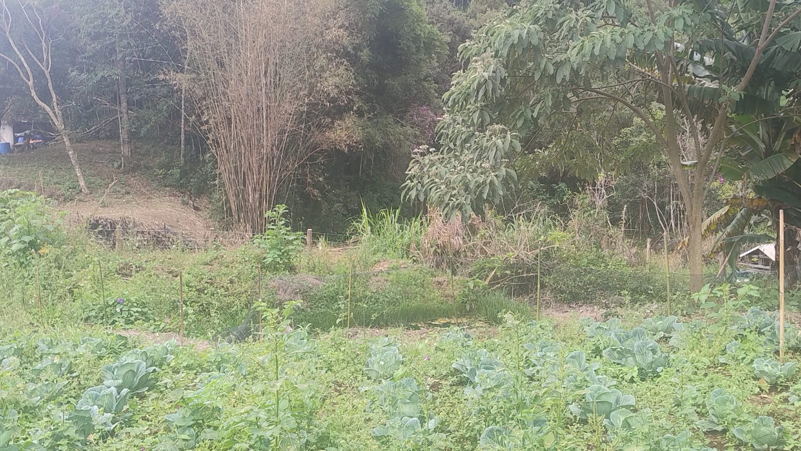 Terreno para formação de chácara em Camanducaia - MG1271